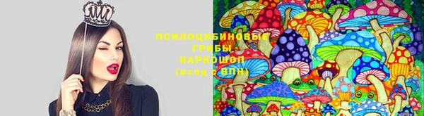 mdma Надым
