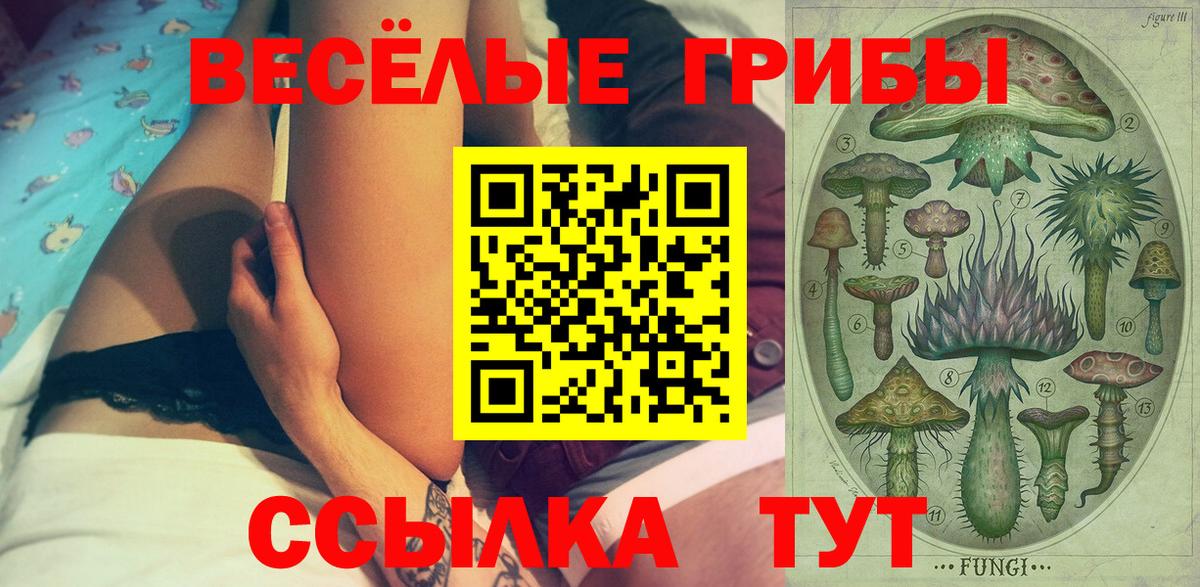 Галлюциногенные грибы мицелий Каменск-Шахтинский
